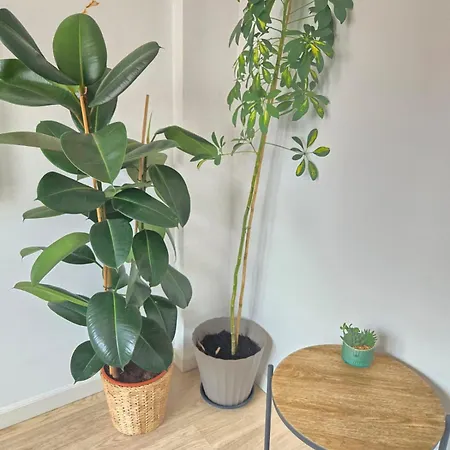 Roof - Vut4217as Appartamento Gijón