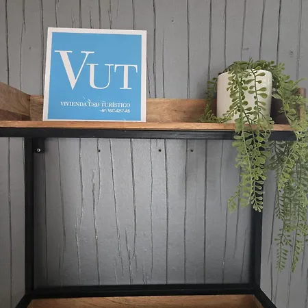 Apartmán Roof - Vut4217as